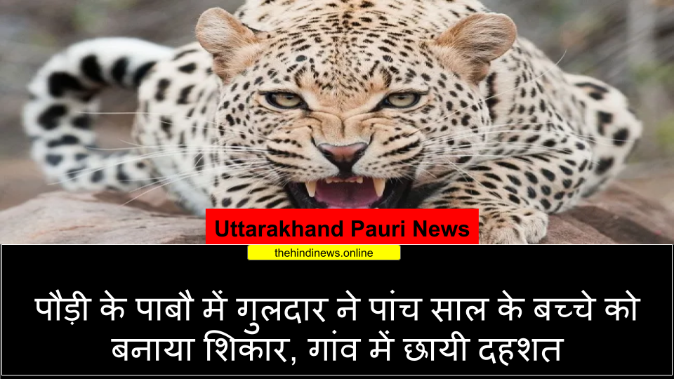 पौड़ी के पाबौ में गुलदार ने पांच साल के बच्_चे को बनाया शिकार