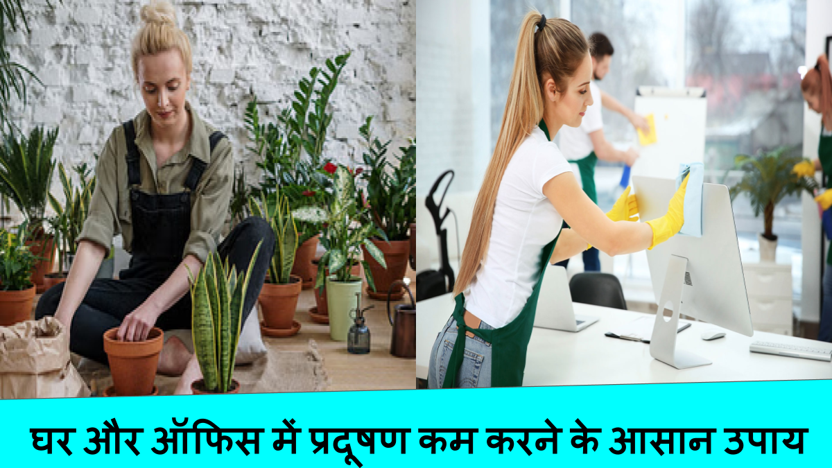 घर और ऑफिस में प्रदूषण कम करने के आसान उपाय