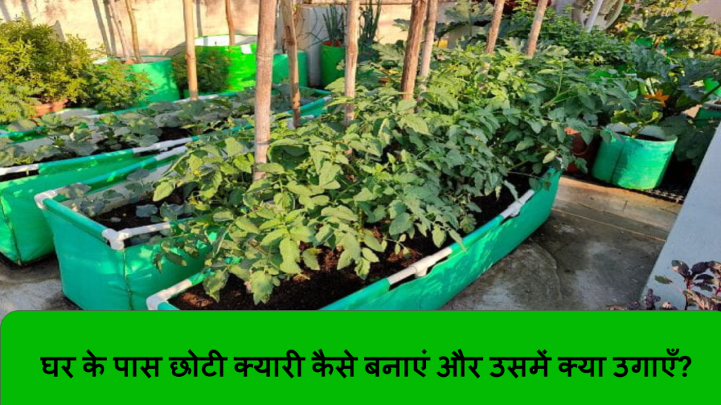 घर के पास छोटी क्यारी कैसे बनाएं और उसमें क्या उगाएँ_