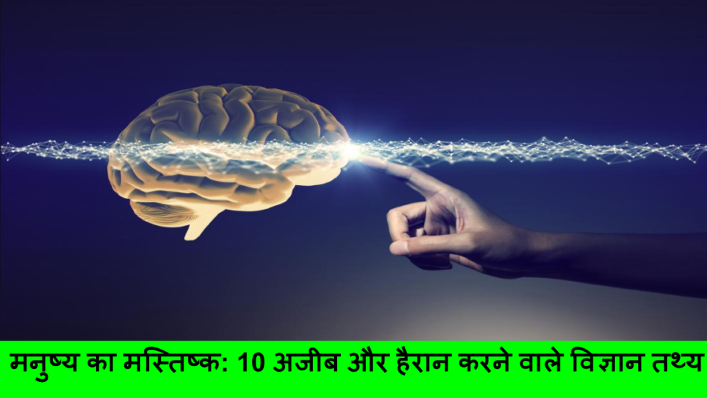 मनुष्य का मस्तिष्क_ 10 अजीब और हैरान करने वाले विज्ञान तथ्य