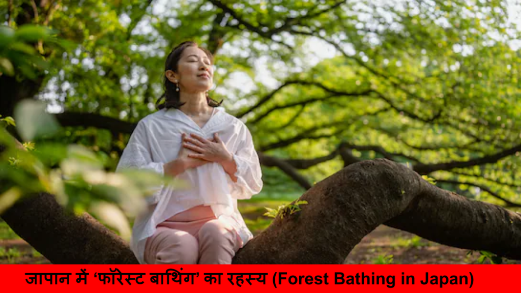 जापान में ‘फॉरेस्ट बाथिंग’ का रहस्य