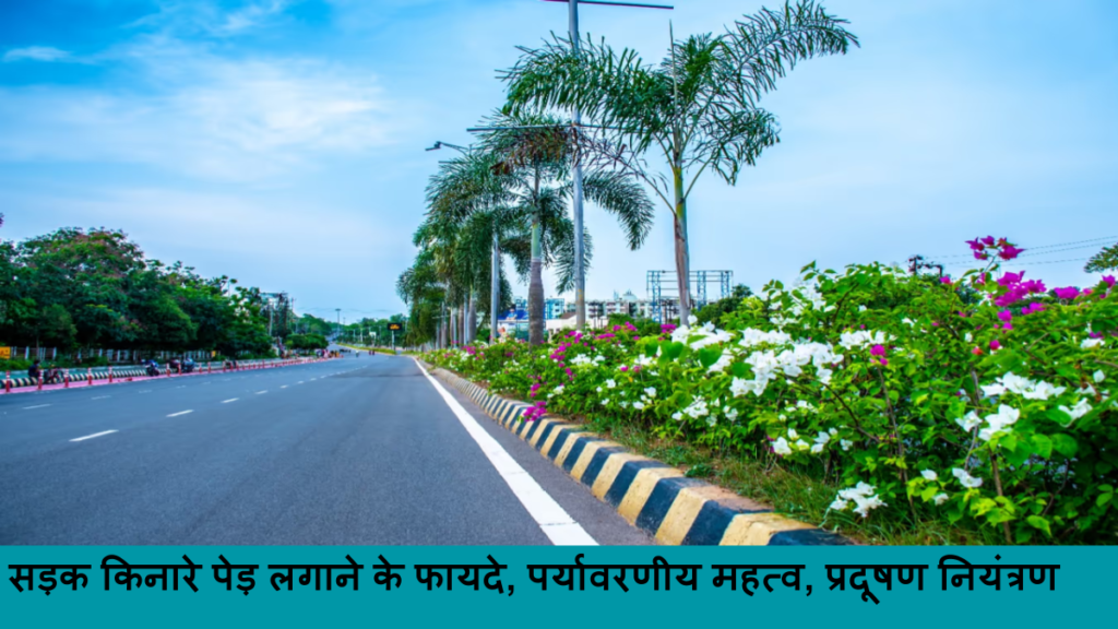 सड़क किनारे पेड़ लगाने के फायदे, पर्यावरणीय महत्व, प्रदूषण नियंत्रण